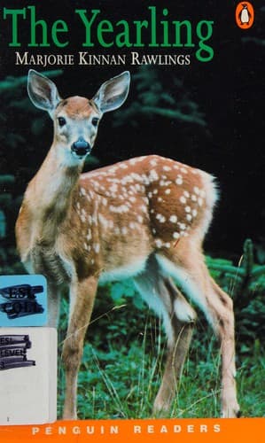 Cover image for The yearling