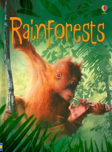Cover image for Rainforests