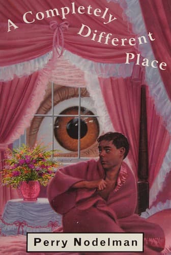 Cover image for A completely different place