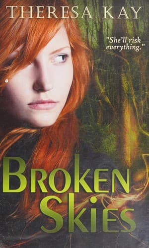 Cover image for Broken skies