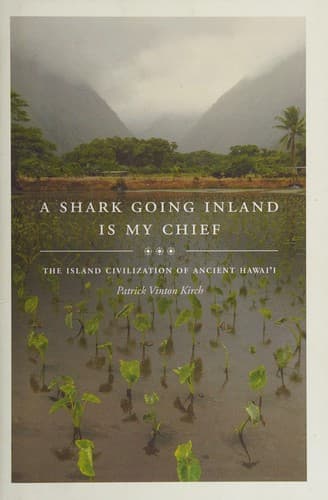 A shark going inland is my chief