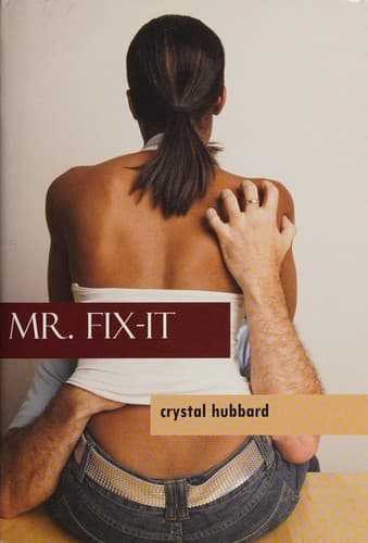Cover image for Mr. Fix-It