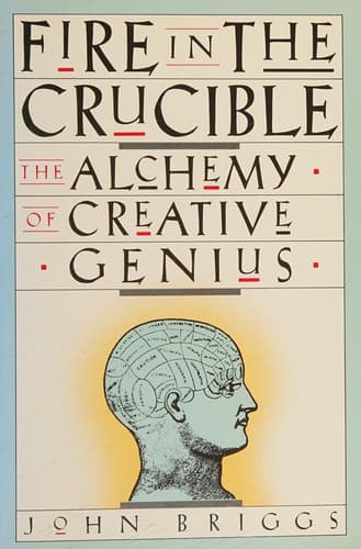 Cover image for Fire in the crucible