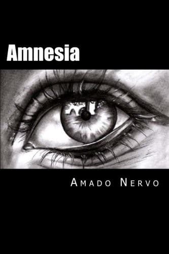 Cover image for Amnesia
