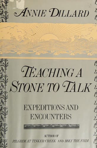 Cover image for Teaching a stone to talk