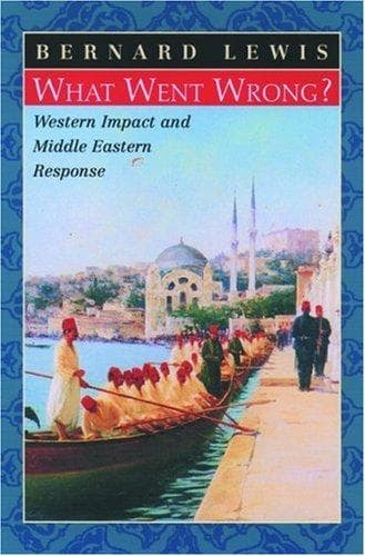 Cover image for What Went Wrong