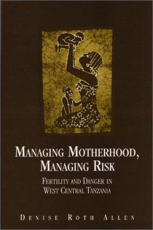 Cover image for Managing Motherhood, Managing Risk
