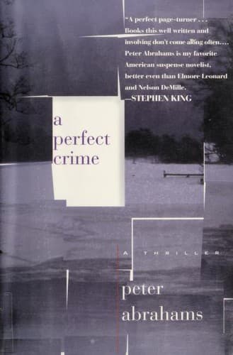 Cover image for A perfect crime
