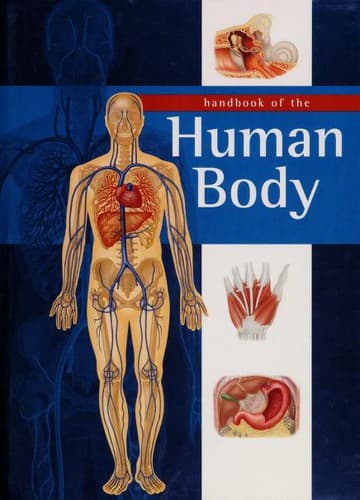 Cover image for Handbook of the Human Body