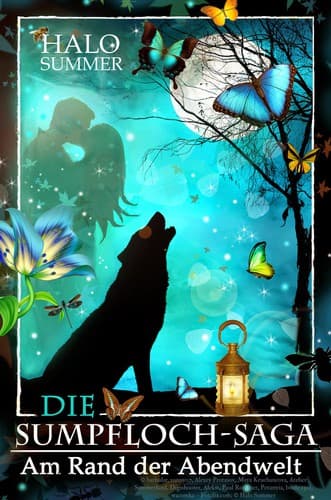 Cover image for Am Rand der Abendwelt