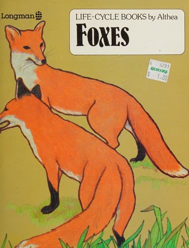 Cover image for Foxes