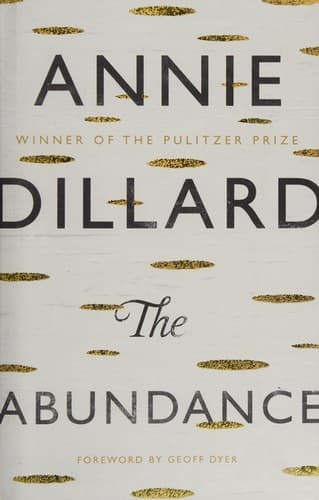 Cover image for The abundance