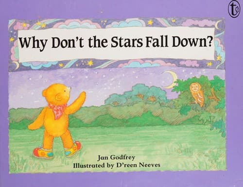 Cover image for Why don't the stars fall down?.