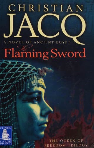 Cover image for The flaming sword