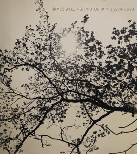Cover image for James Welling
