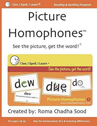 Picture Homophones™ Book 2