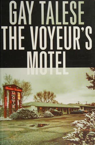Cover image for The voyeur's motel