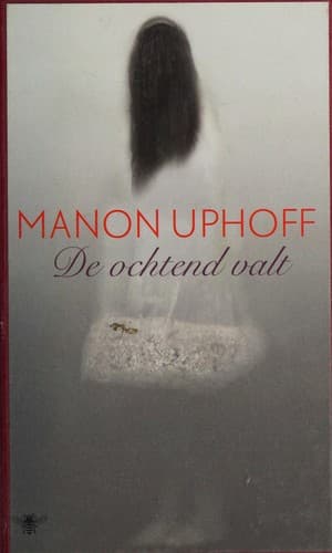 De ochtend valt