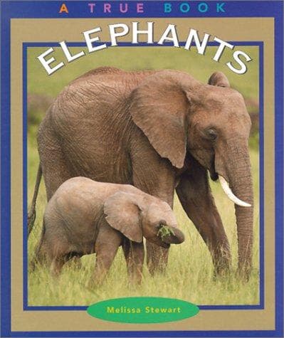 Cover image for Elephants
