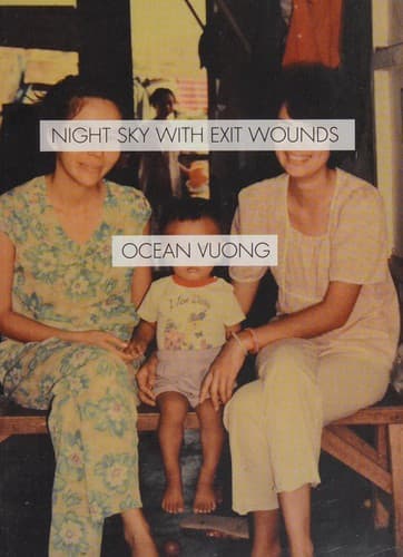 Cover image for Night Sky with Exit Wounds