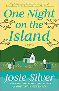 Cover image for One Night on the Island