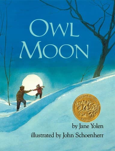 Cover image for Owl moon