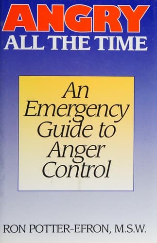 Cover image for Angry all the time