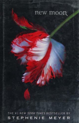 Cover image for New Moon