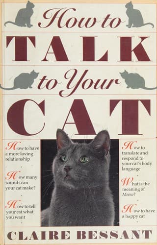Cover image for How to talk to your cat