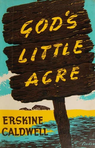 Cover image for God's little acre