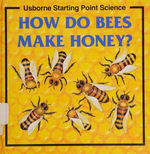 Cover image for How do bees make honey?