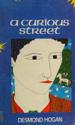 Cover image for A curious street