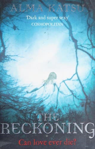 Cover image for The reckoning