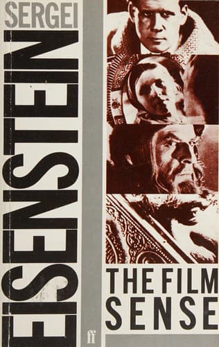 Cover image for The film sense