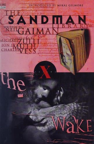 Cover image for The sandman