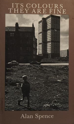 Cover image for Its colours they are fine