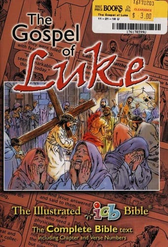 Cover image for The Illustrated Bible