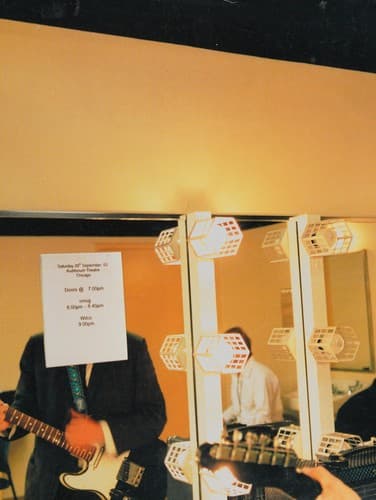 Cover image for The Wilco book