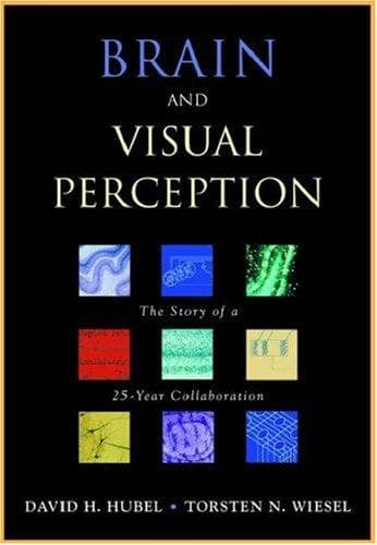 Cover image for Brain and Visual Perception