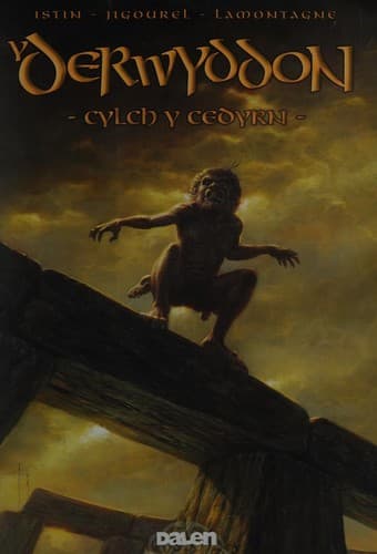Cover image for Y derwyddon