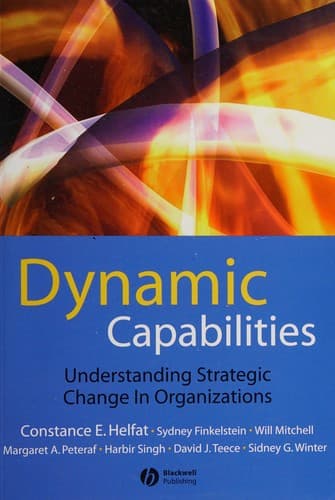 Cover image for Dynamic capabilities