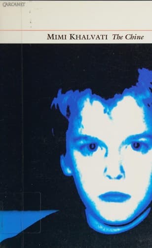 Cover image for The chine