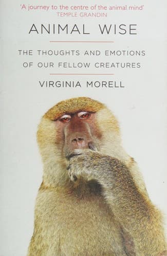 Cover image for Animal wise