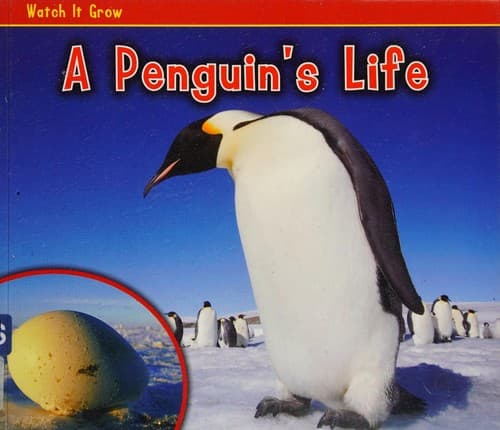 Cover image for A penguin's life