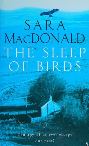Cover image for The sleep of birds
