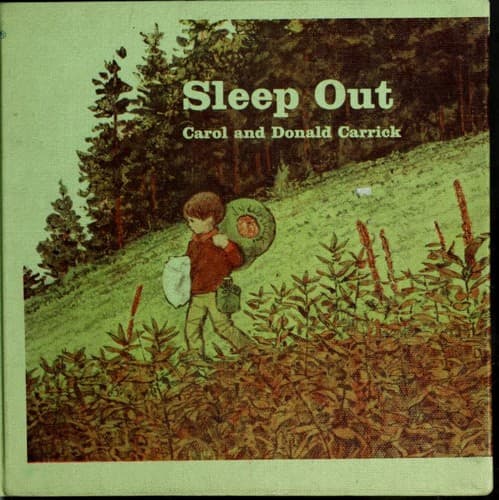 Cover image for Sleep out