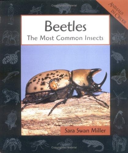 Cover image for Beetles