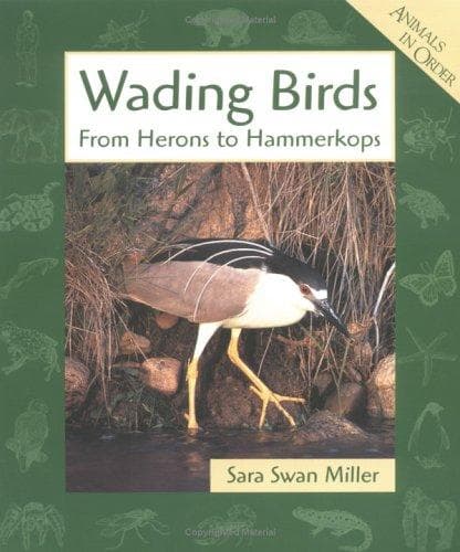 Cover image for Wading Birds