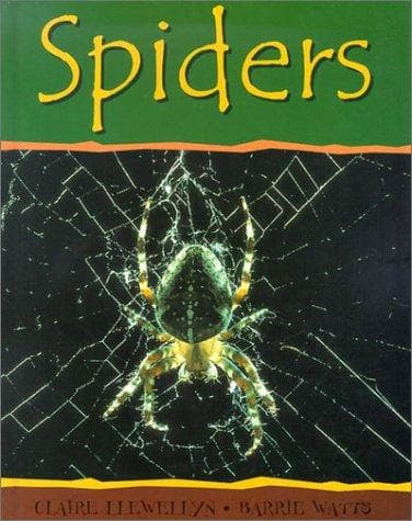 Cover image for Spiders (Minibeasts)