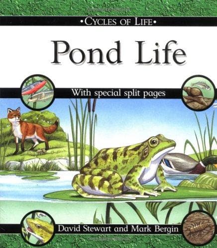 Cover image for Pond Life (Cycles of Life)